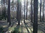 Příbram na Moravě